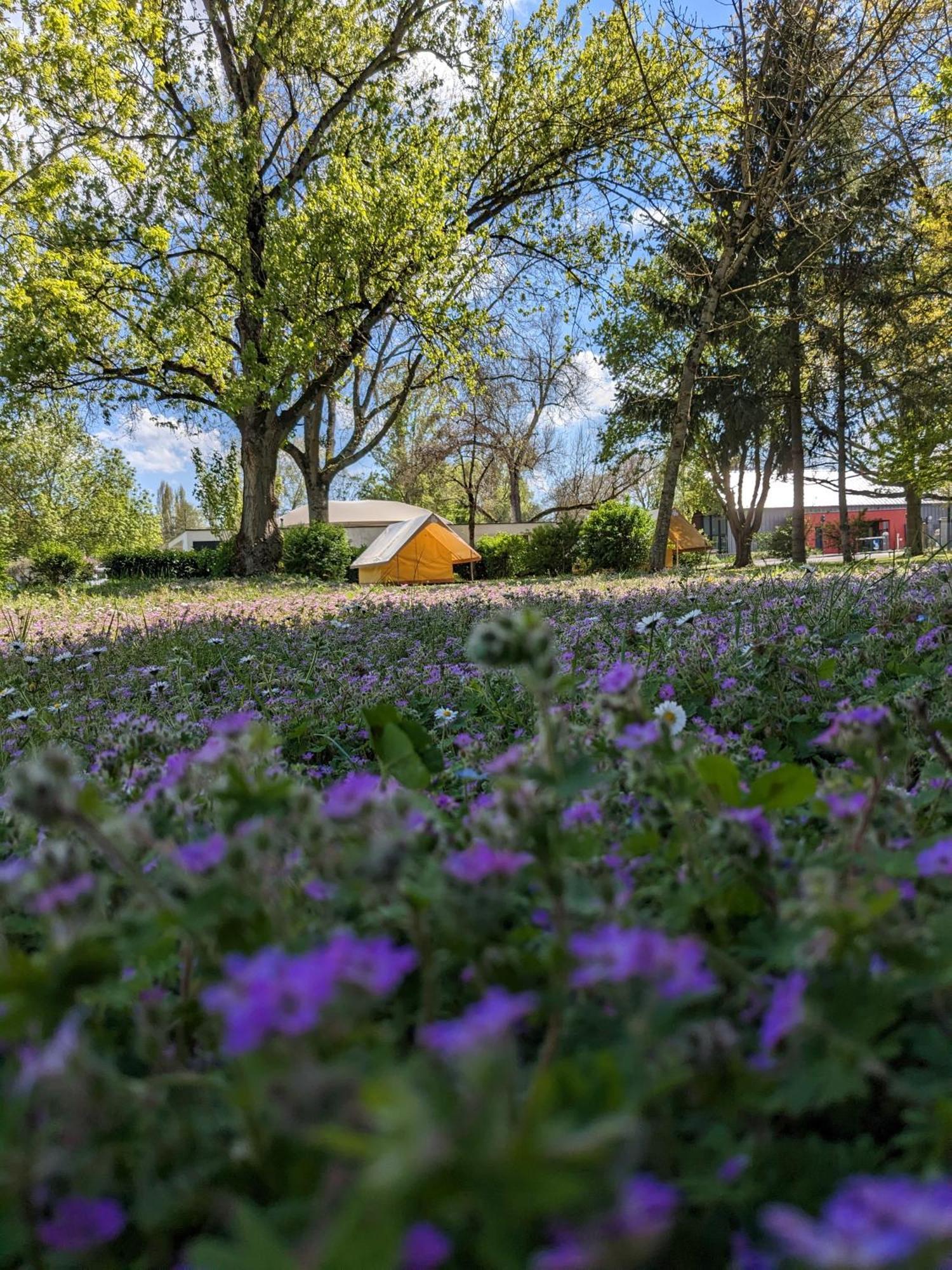 Camping Onlycamp Tours Val De Loire Saint-Avertin Exterior foto